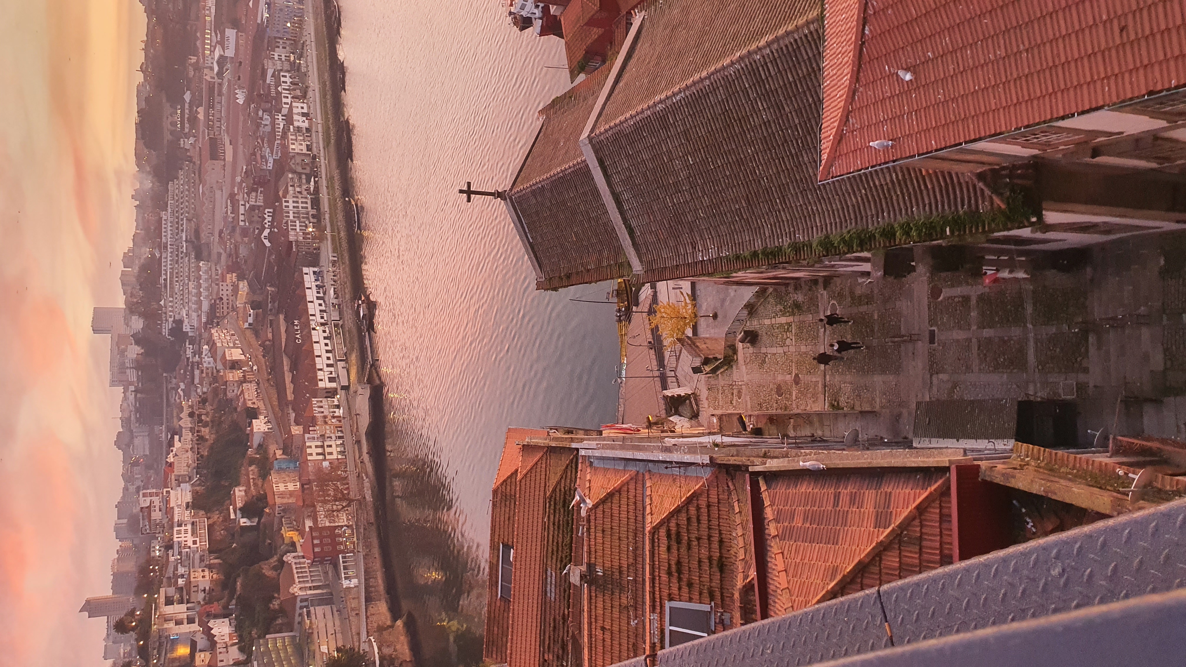 Porto rooftops at golden hour